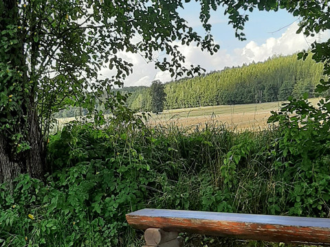 Wanderweg Grünau-Wiesenburg